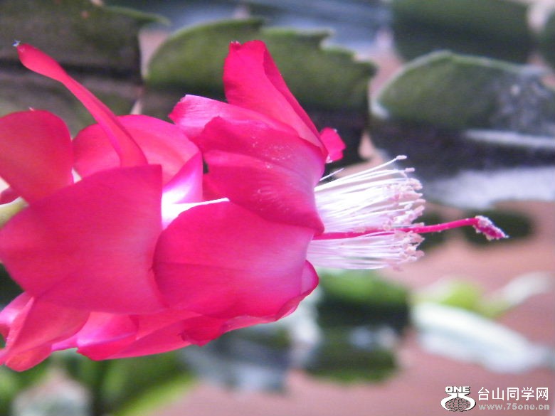 DSCF9876.JPG