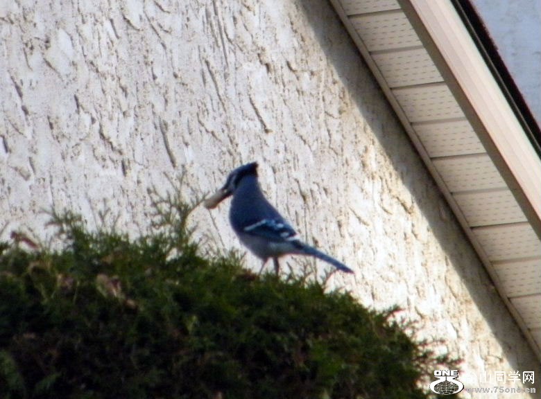 DSCF9404.JPG
