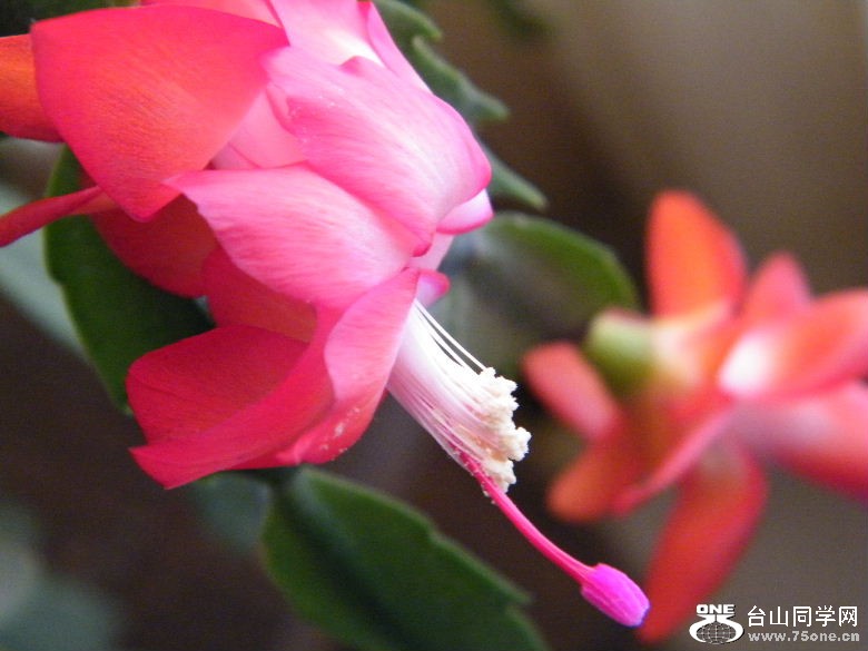 DSCF9622.JPG