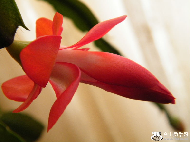 DSCF9621.JPG