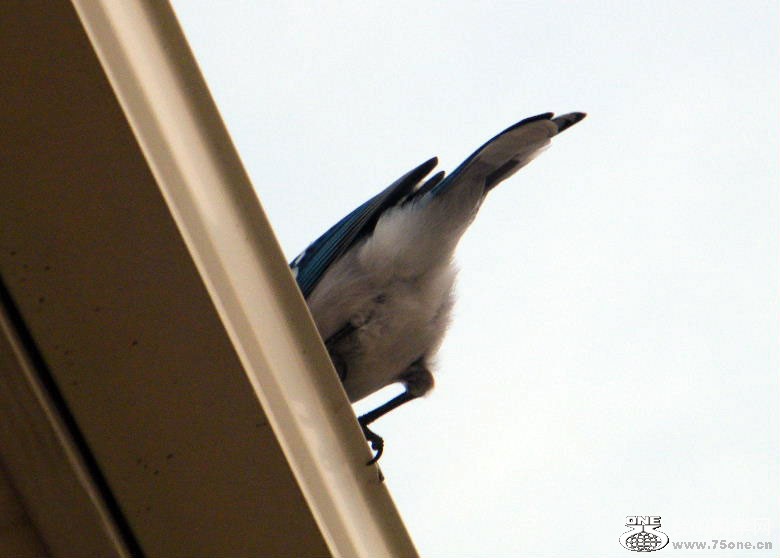 DSCF9412.JPG