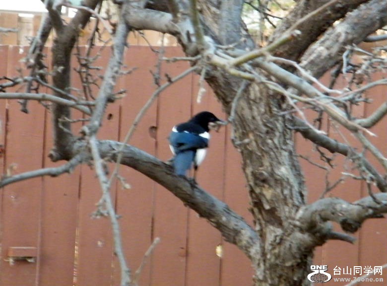 DSCF9394.JPG