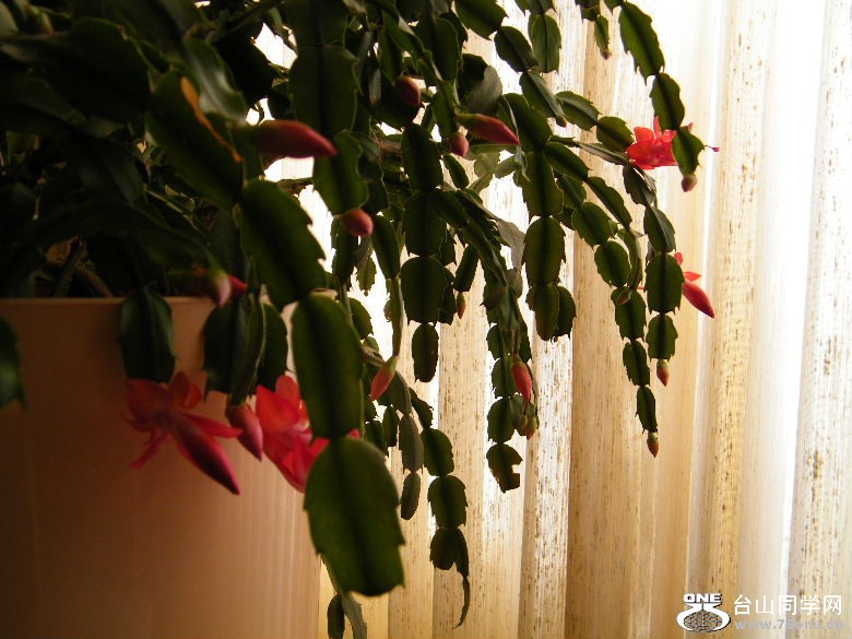 DSCF9628.JPG
