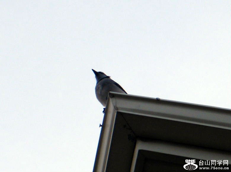 DSCF9407.JPG