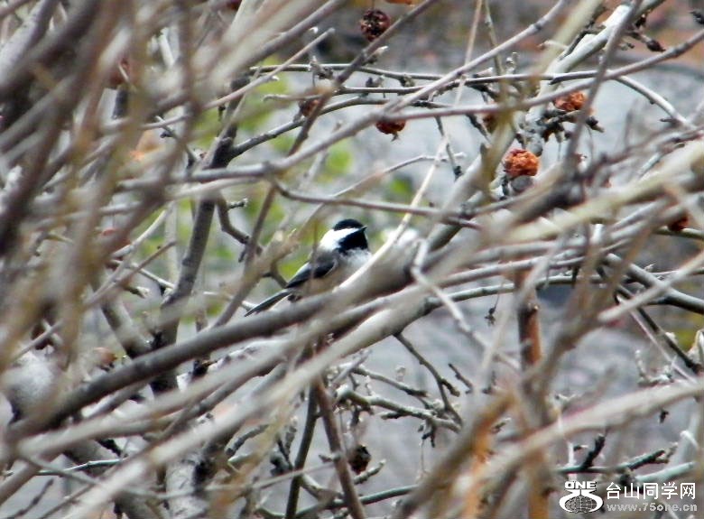 DSCF9421.JPG