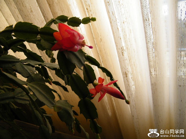 DSCF9618.JPG