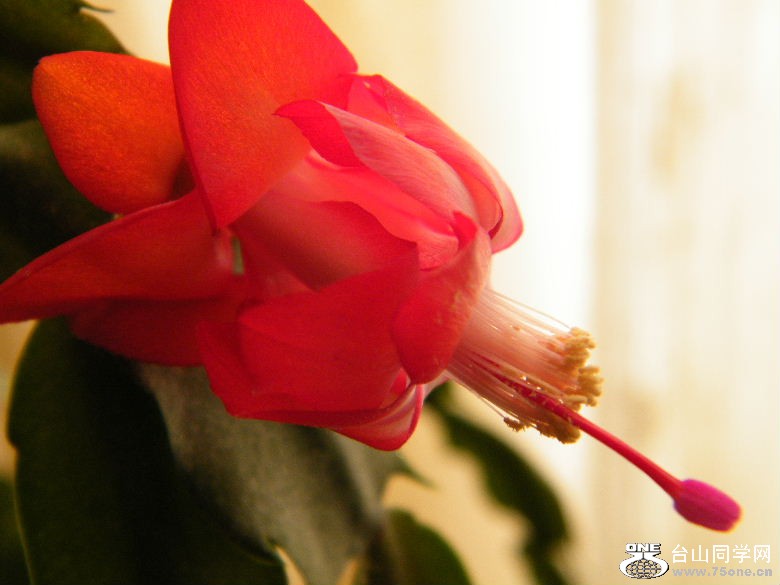 DSCF9620.JPG