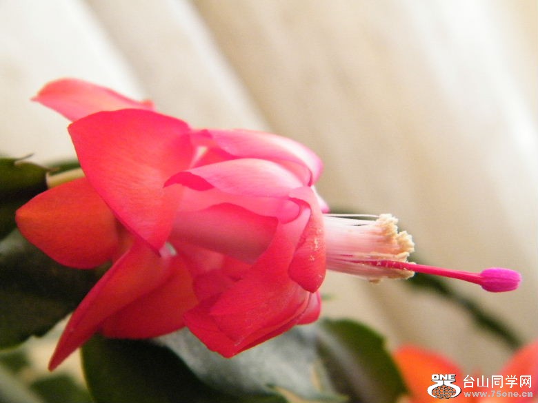 DSCF9626.JPG