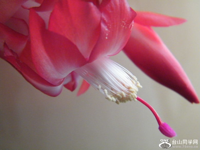 DSCF9623.JPG