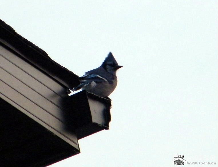DSCF9408.JPG