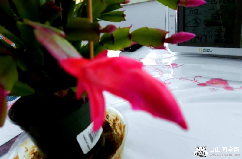 2010 10829.jpg