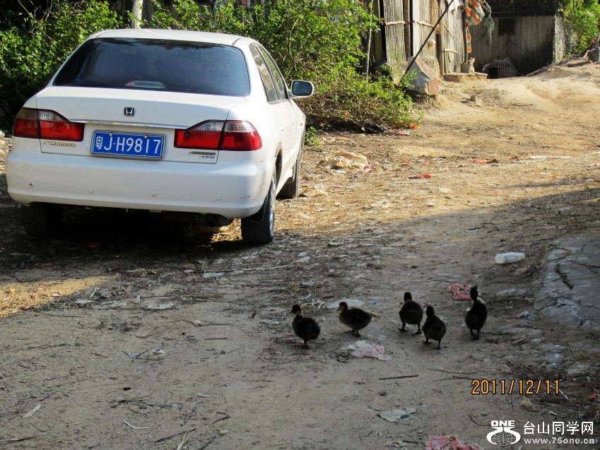 Ӣͬ䡢˷ң2 291_conew1.jpg