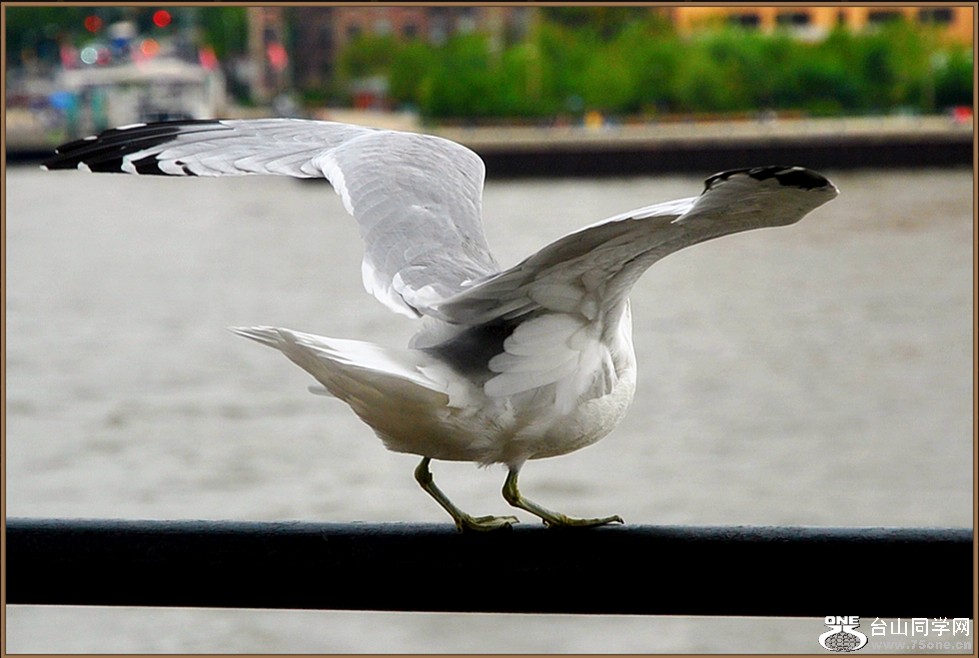 dsc_2057.jpg
