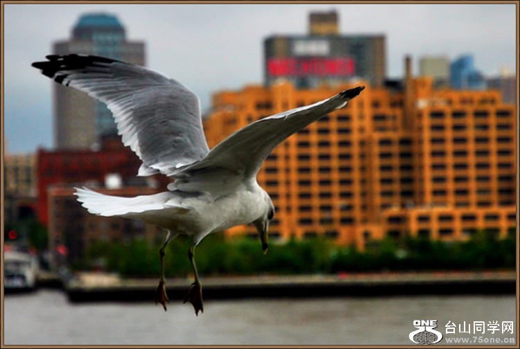 dsc_2055.jpg