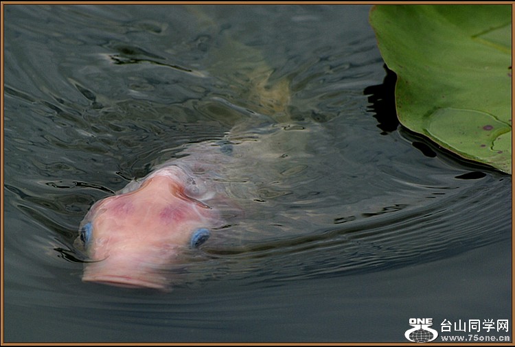 dsc_1164.jpg