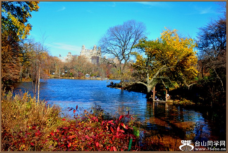 DSC_2544.JPG