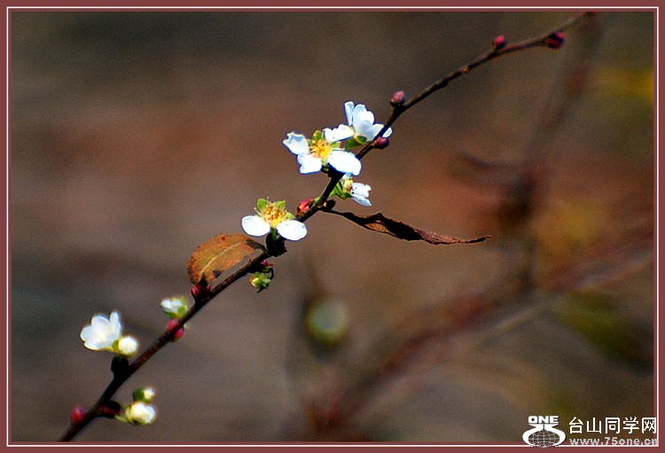 dsc_4807.jpg