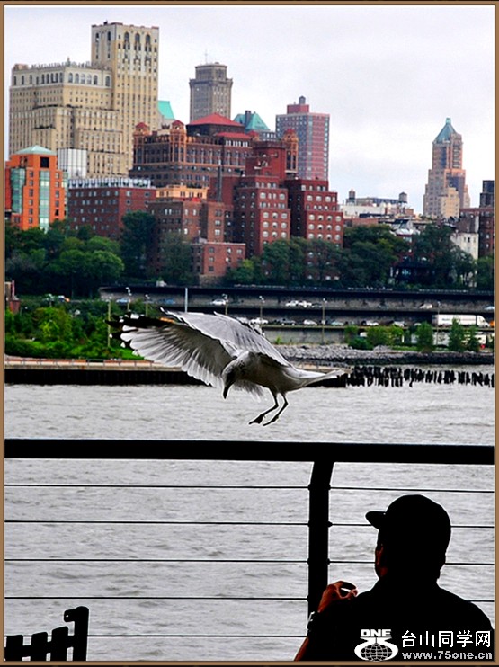 DSC_2046.jpg