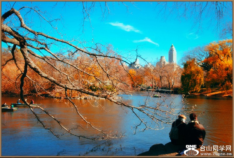 dsc_2629a_.jpg