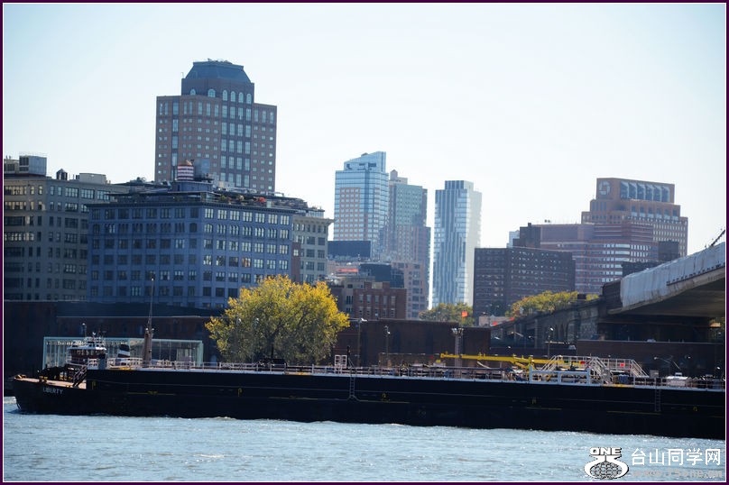 DSC_1589.JPG