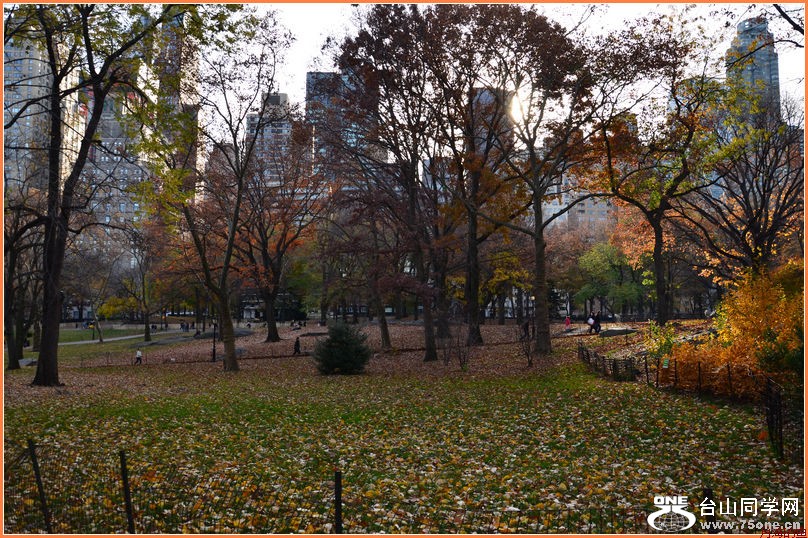 DSC_2371.JPG