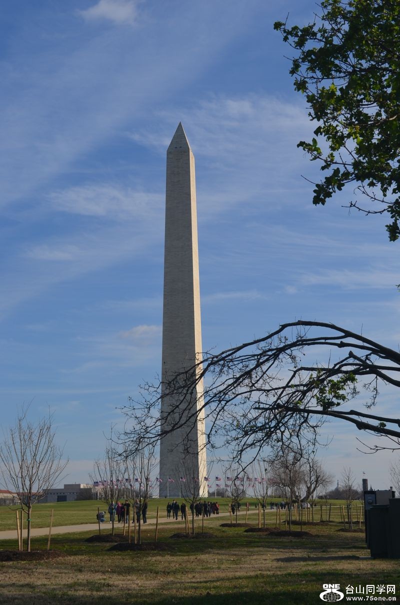 2011-12-10DC 303.jpg
