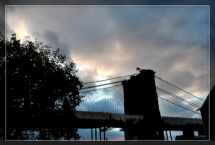 DSC_6654.JPG