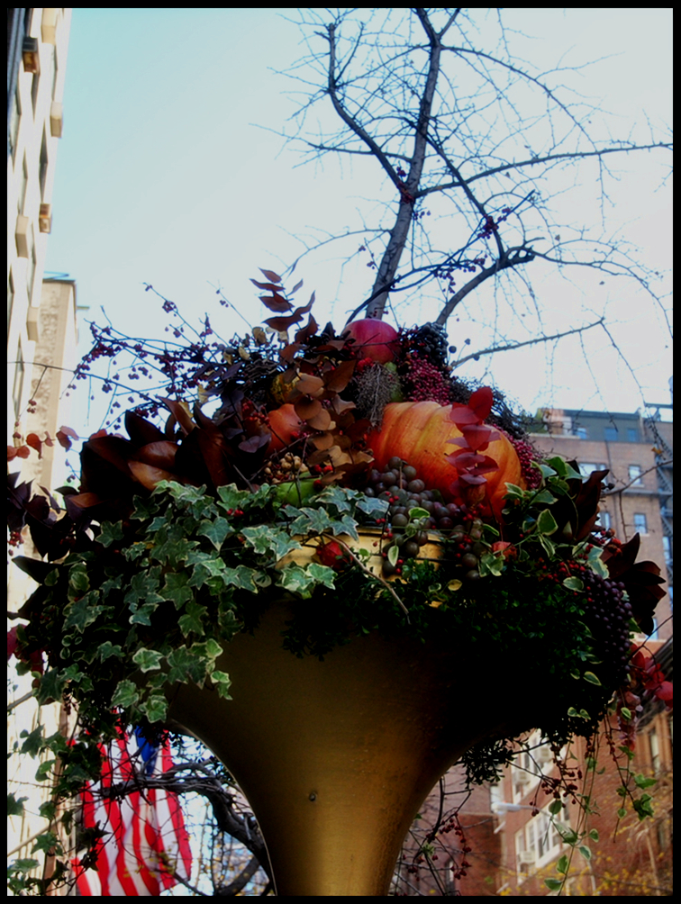 DSC_2678.JPG