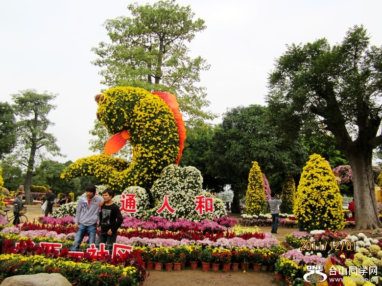 �����㳡 295_conew1.jpg