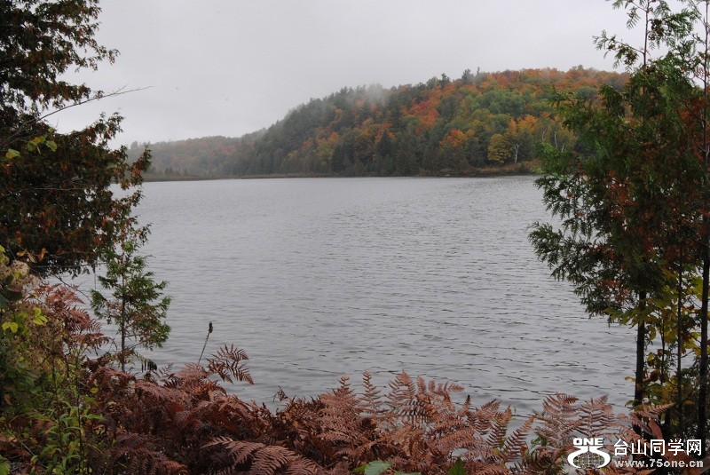 DSC_7973.JPG