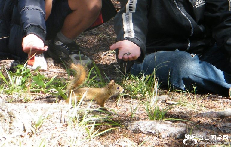 DSCF6395.JPG