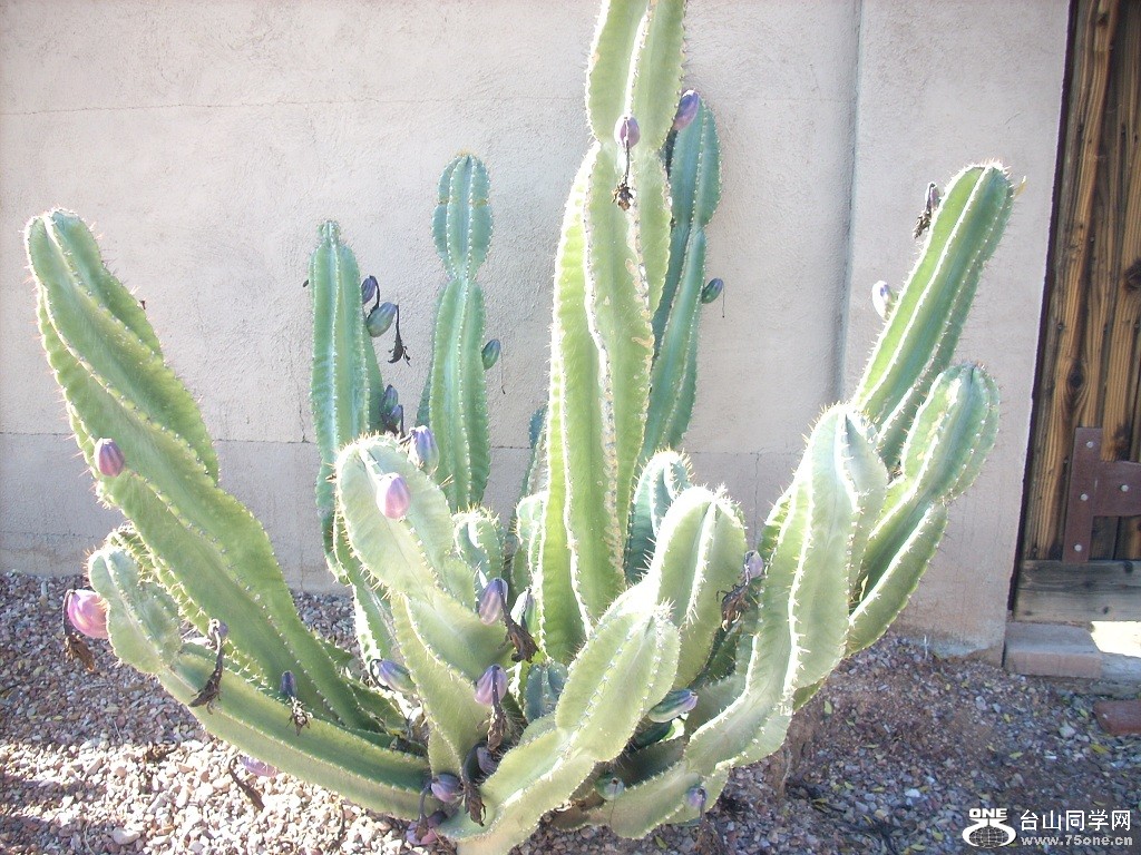 DSCN4112.JPG