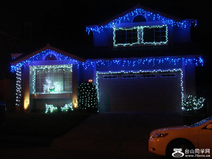 Picture 310_.jpg