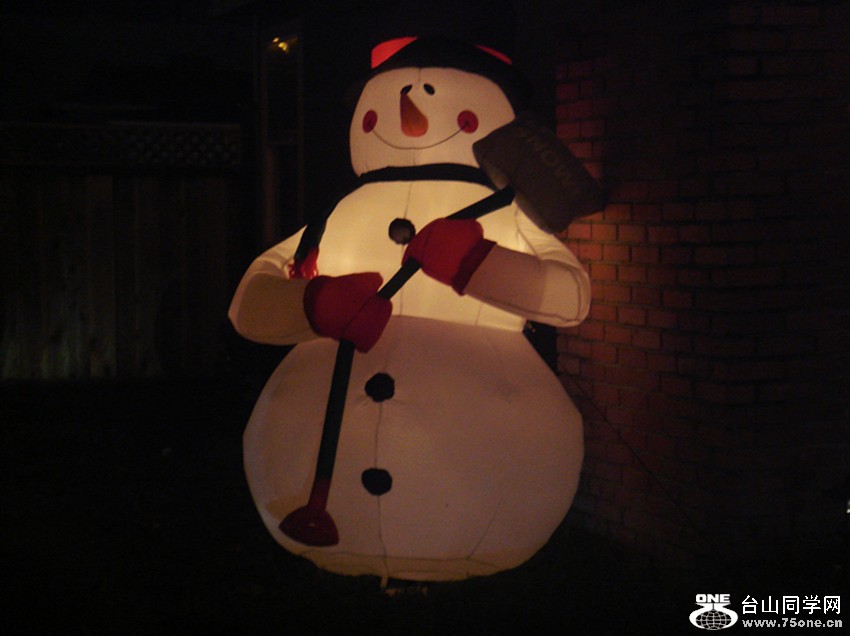 Picture 386_.jpg