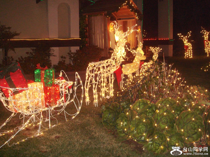 Picture 377_.jpg