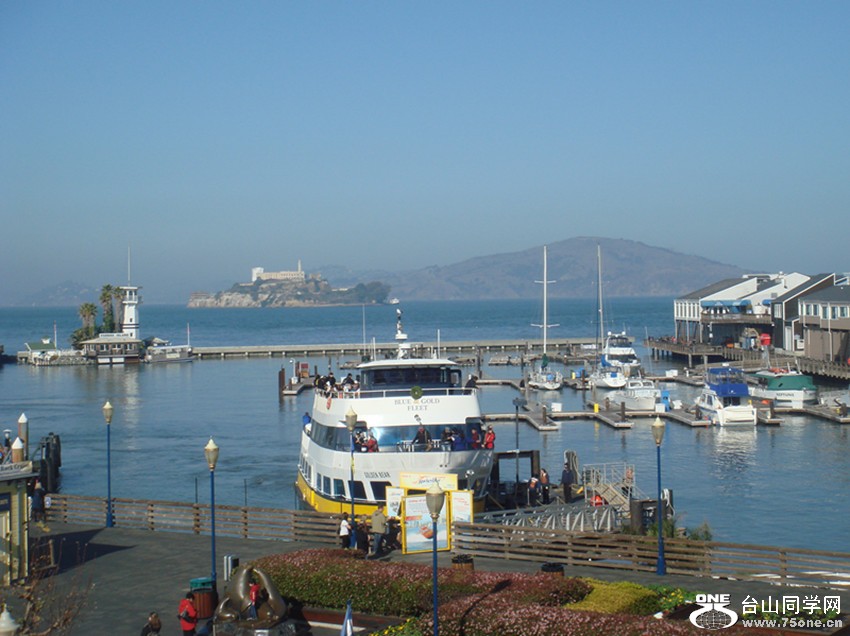 Picture 269_.jpg
