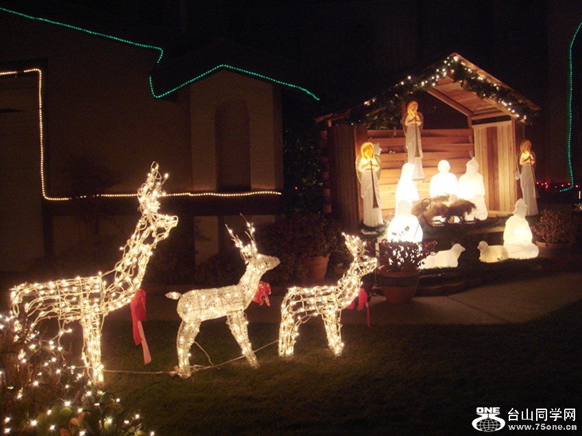 Picture 379_.jpg