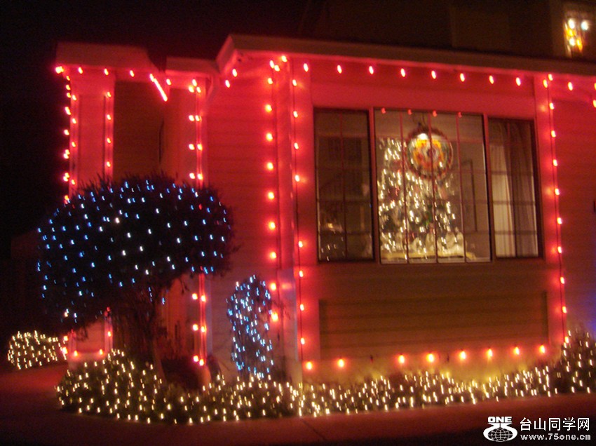 Picture 346_.jpg