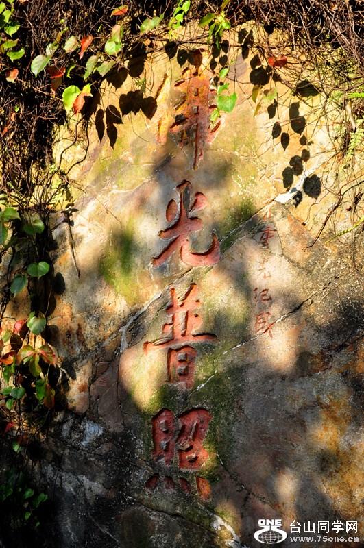 ˳ 207.jpg