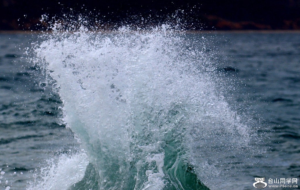 _DSC0821.NEF [1024x768].jpg