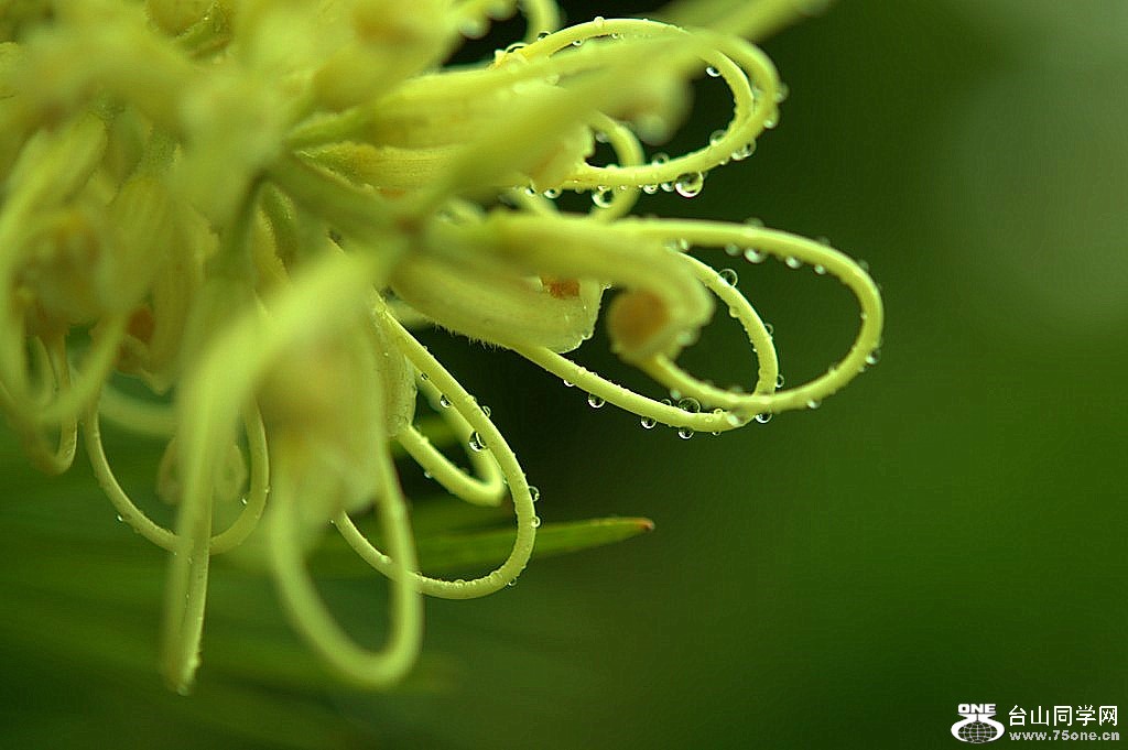 _DSC0034.NEF [1024x768].jpg