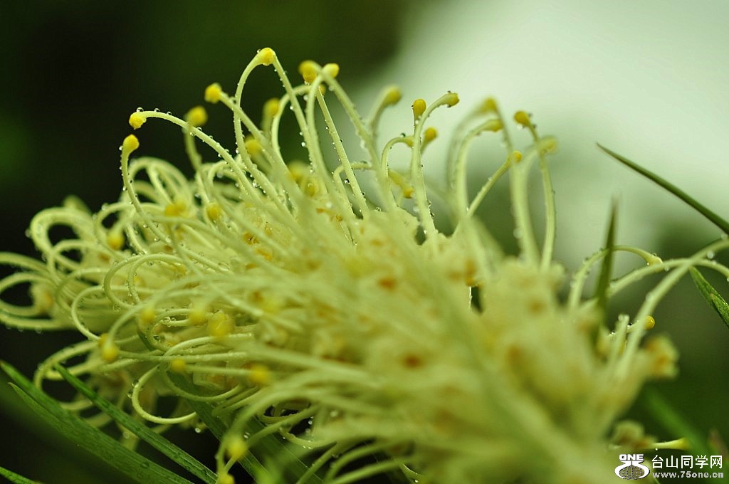 _DSC0028 [1024x768].JPG