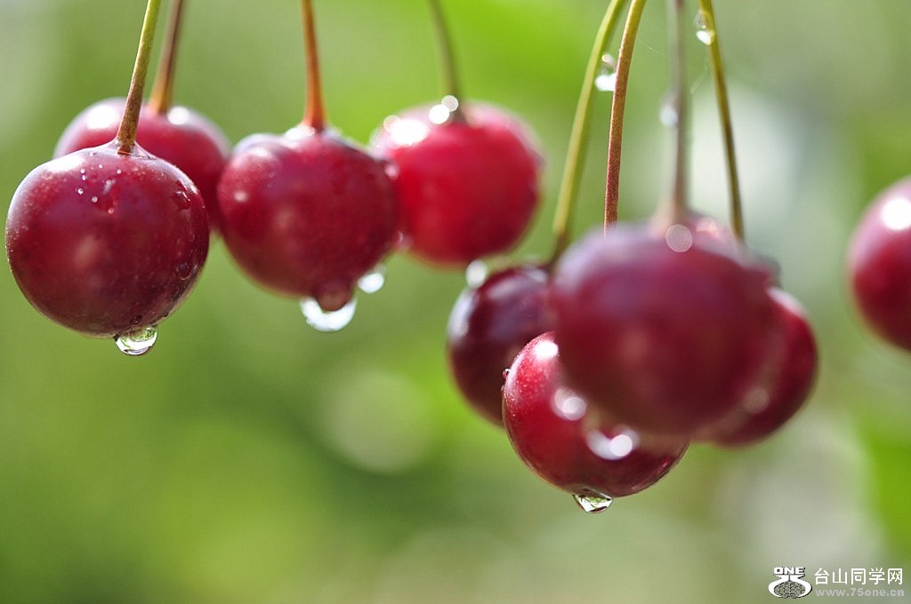 Copy of _DSC0087 [1024x768].JPG