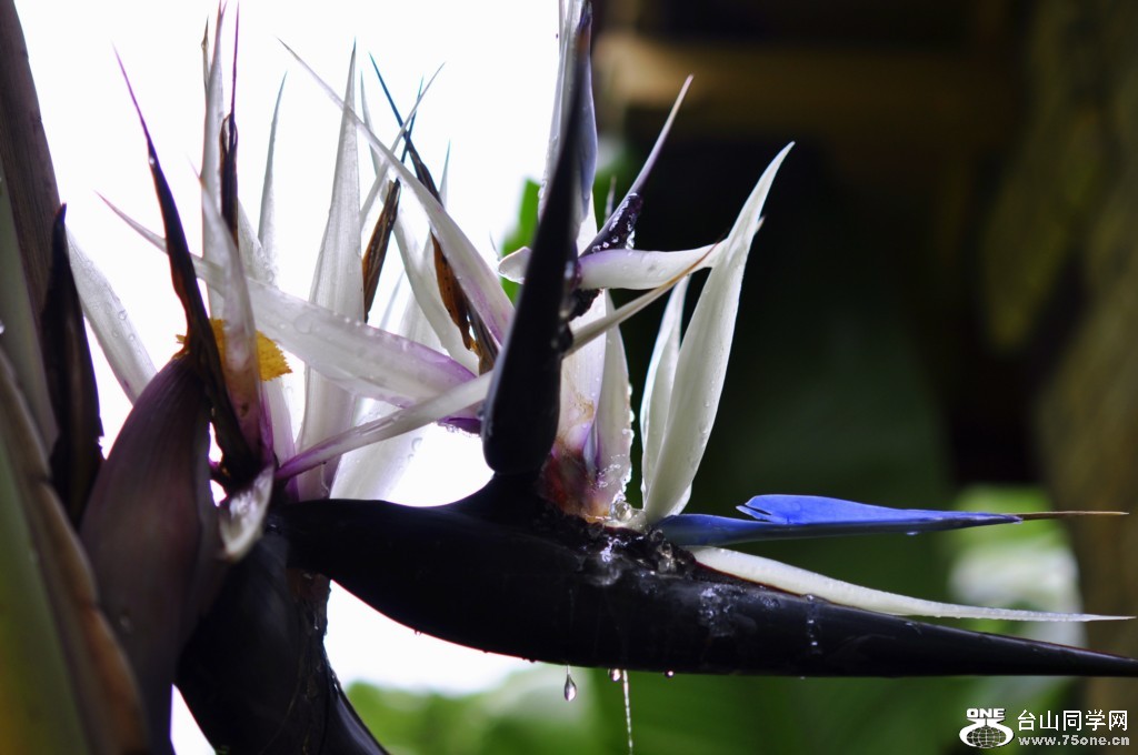 _DSC0375 [1024x768].JPG