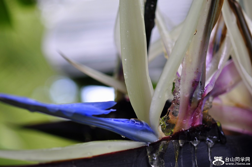 _DSC0360 [1024x768].JPG