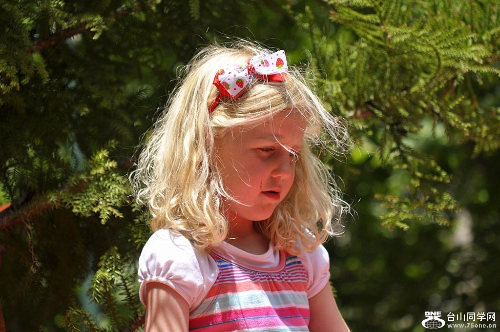 _DSC0530 [1024x768].JPG