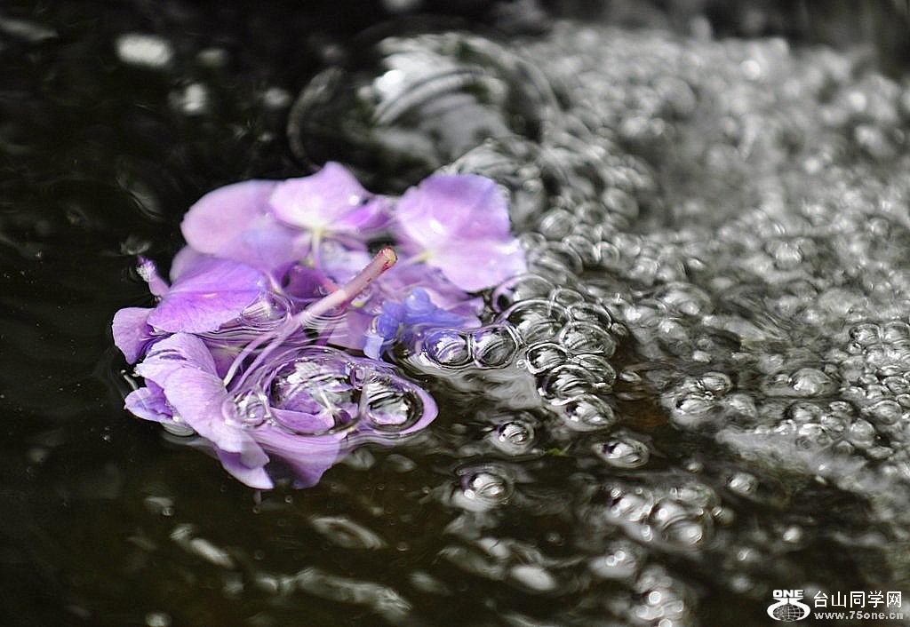 _DSC0092 [1024x768].JPG