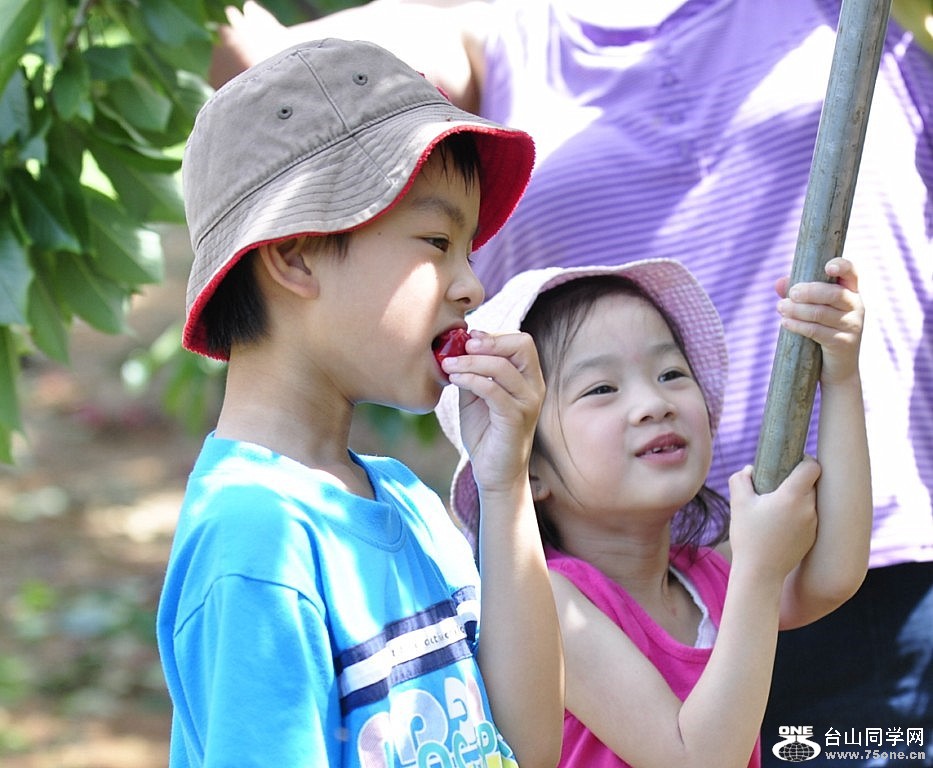 Copy of _DSC0212 [1024x768].JPG