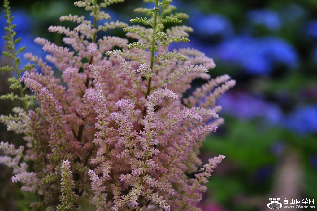 _DSC0544 [1024x768].JPG