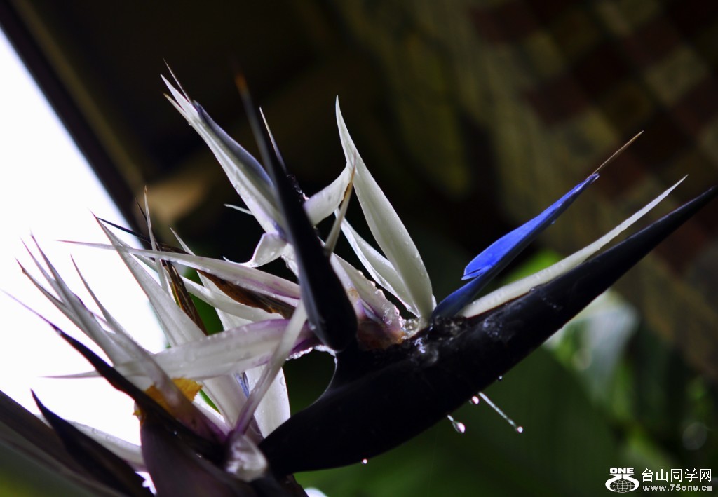 _DSC0376 [1024x768].JPG